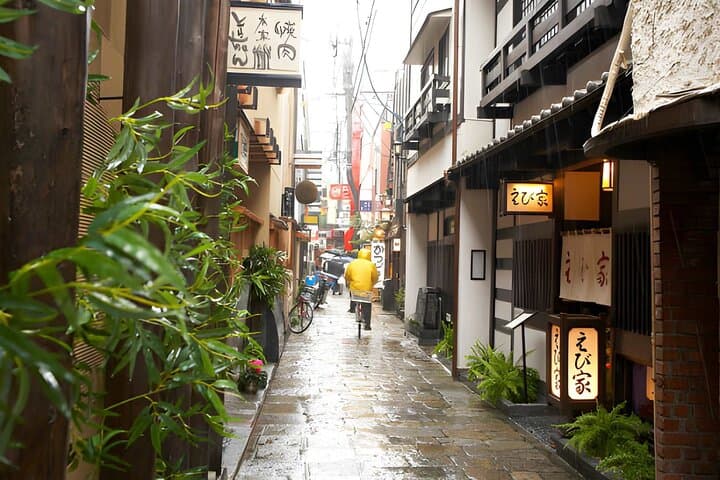 Osaka Local Secrets Walking Tour with English Speaking Guide — photo 5