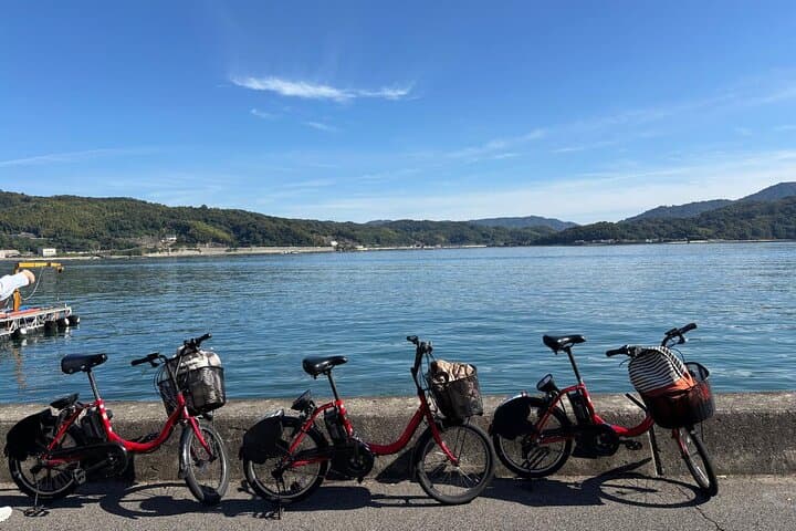 Hiroshima Islands by E Bike Cafés Coastlines and Local Life — photo 11