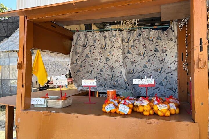 Hiroshima Islands by E Bike Cafés Coastlines and Local Life — photo 15