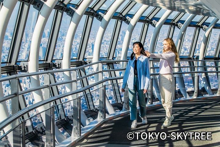 Tokyo 10 Hour Imperial Palace & Skytree & Akihabara Private Tour — photo 5