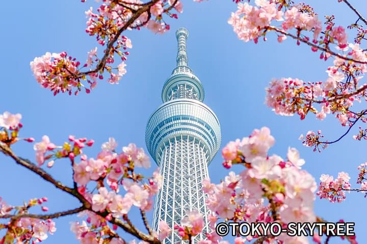 Tokyo 10 Hour Imperial Palace & Skytree & Akihabara Private Tour — photo 1