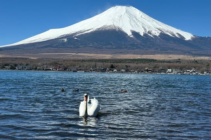 From Tokyo: Mt. Fuji 6 Attractions: Lake Kawaguchi, Oshino Hakkai — photo 9
