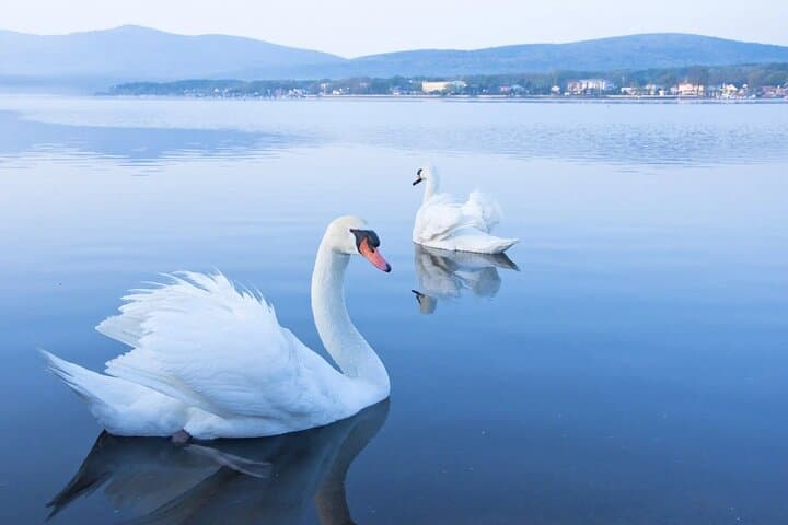 From Tokyo: Mt. Fuji 6 Attractions: Lake Kawaguchi, Oshino Hakkai — photo 10