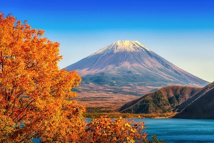 From Tokyo: Mt. Fuji 6 Attractions: Lake Kawaguchi, Oshino Hakkai — photo 12