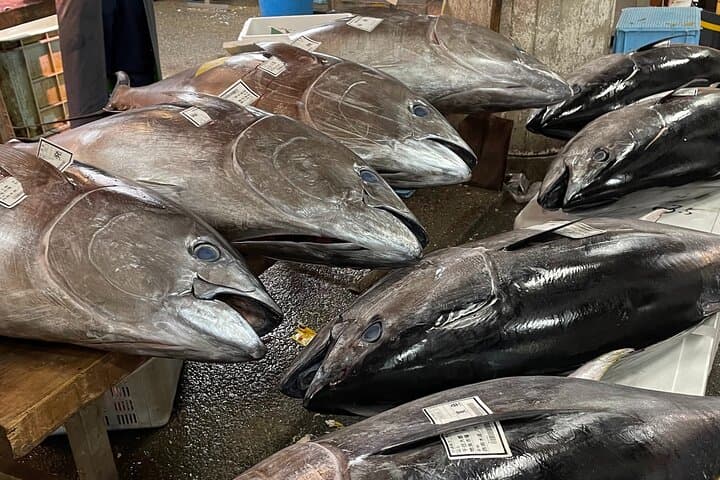 Adachi Fish Market Tour in Tokyo — photo 5