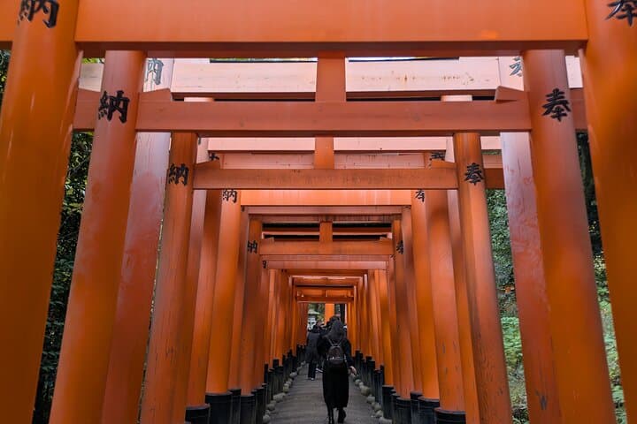 Kyoto Private Tour – Licensed Guide & Car from Osaka/Kyoto — photo 3