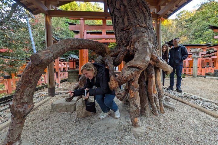 Kyoto Private Tour – Licensed Guide & Car from Osaka/Kyoto — photo 4
