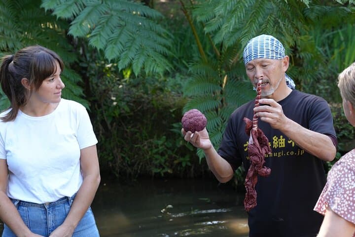 Private Amami Nature and Culture Experience — photo 2
