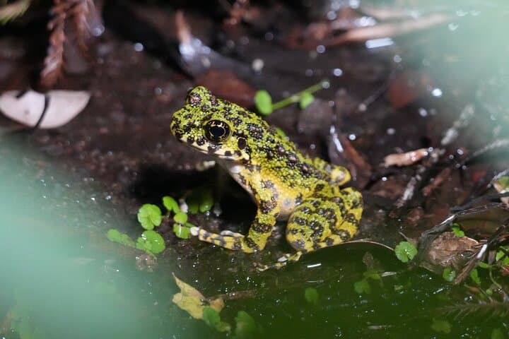 Private Amami Nature and Culture Experience — photo 13