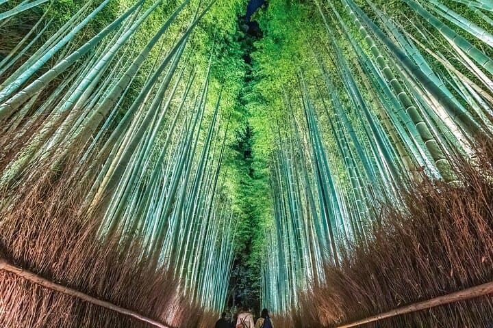 Kyoto Fushimi-Inari and Arashiyama Night Walking Tour — photo 6