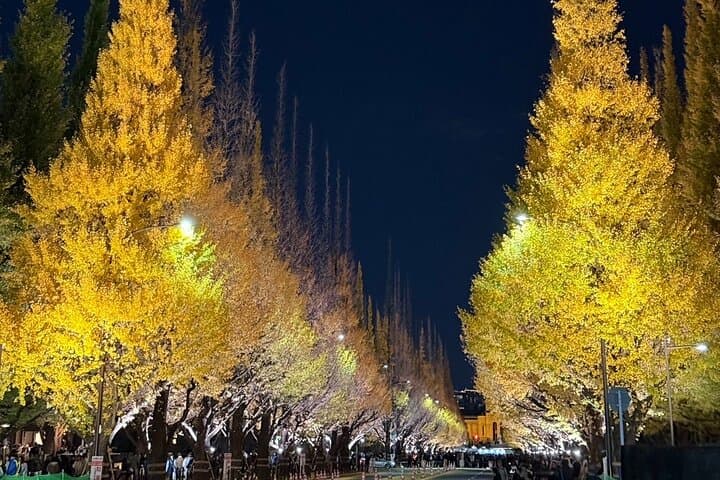 Tokyo Full-Day Private Walking Tour – Fully Personalized — photo 8