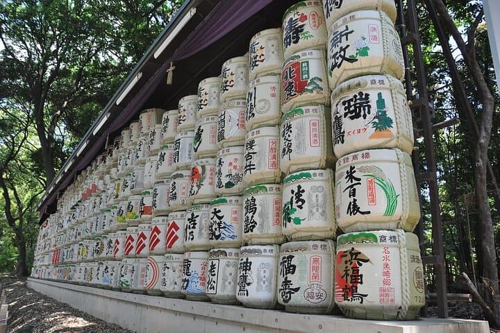 Tokyo Private Tour with Local Expert Guide – Hidden Gems — photo 5
