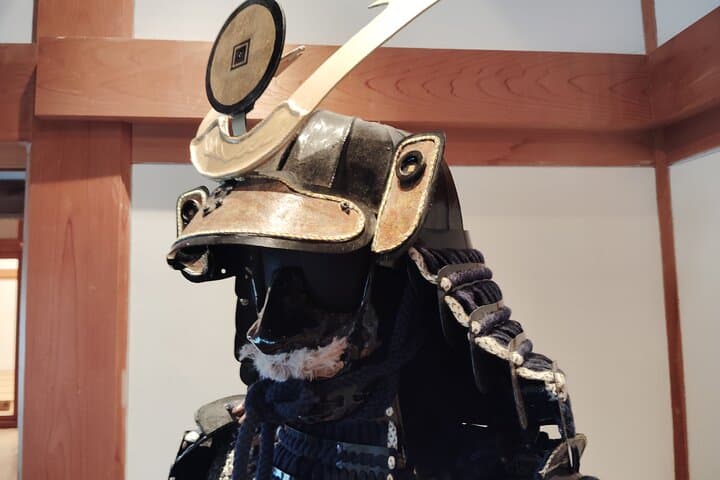 Hyogo: Sasayama Castle & Samurai Residence Guided Tour — photo 11