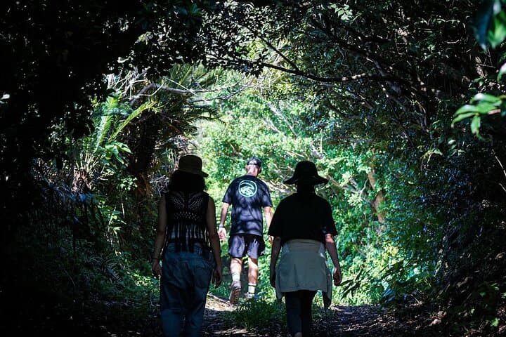 Private Amami Nature and Culture Experience — photo 20