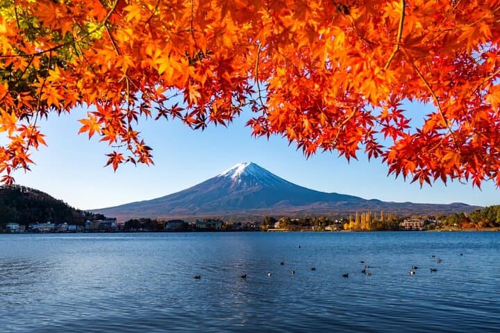 Mount Fuji Private Custom Tour with Local English Speaking Guide — photo 5