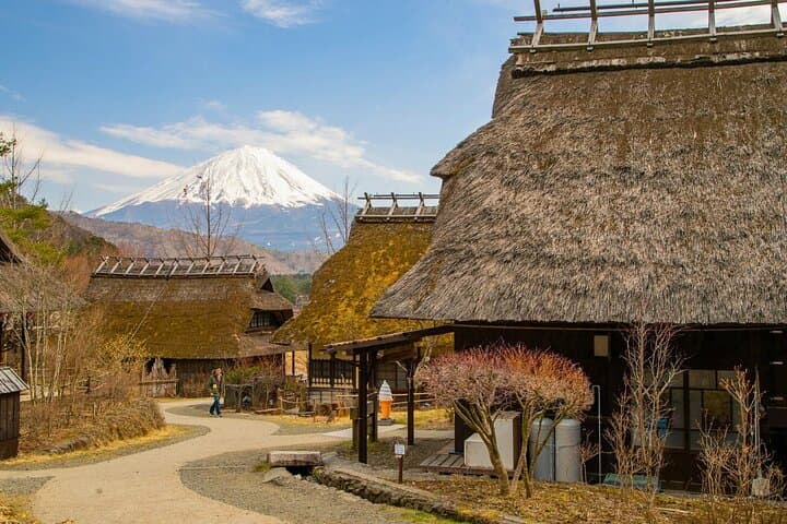Mount Fuji Private Custom Tour with Local English Speaking Guide — photo 7