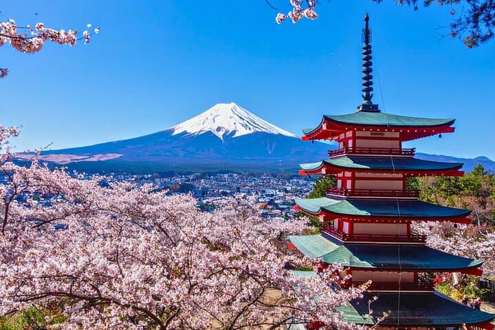 Mount Fuji Private Custom Tour with Local English Speaking Guide — photo 1