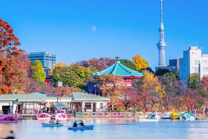 Tokyo Private Walking Tour – Ueno, Ameyoko & Kanda — photo 4
