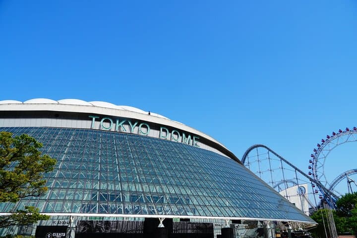Tokyo Dome baseball history tour With a Nationally Licensed Guide — photo 1