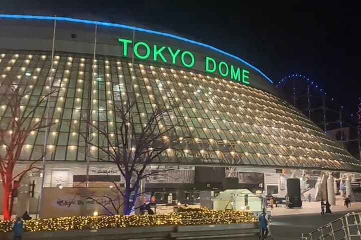 Tokyo Dome baseball history tour With a Nationally Licensed Guide — photo 5