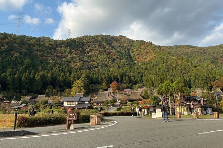 (4hours)Zero Emission Car Private Kyoto Tour with Japanese Guide — photo 8