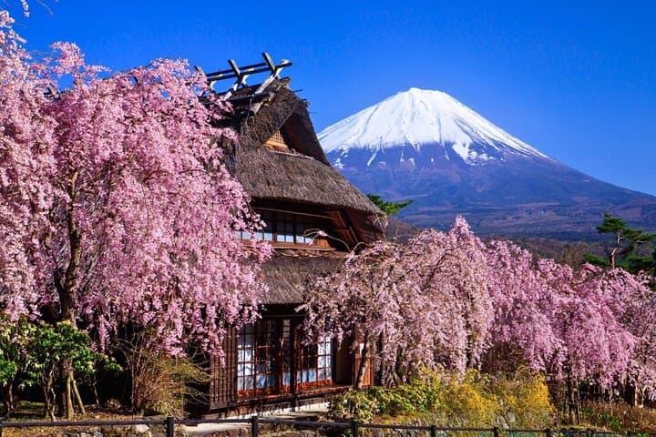 Mount Fuji Private Custom Tour with Local English Speaking Guide — photo 4