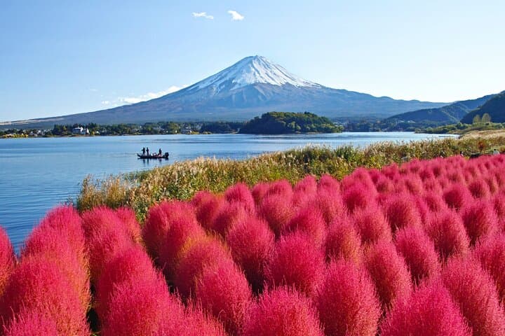Mount Fuji Private Custom Tour with Local English Speaking Guide — photo 8