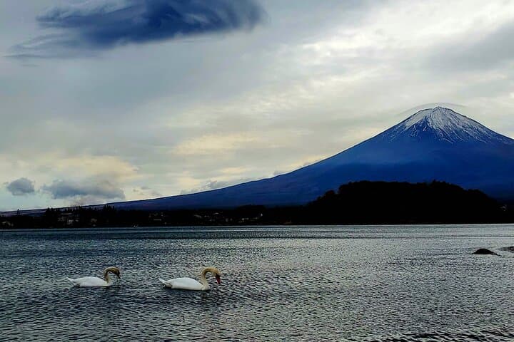 Mount Fuji Five Lakes Private Tour (Customizable) — photo 8