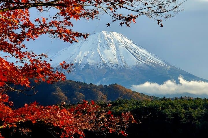 Mount Fuji Five Lakes Private Tour (Customizable) — photo 11