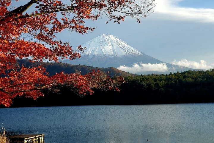 Mount Fuji Five Lakes Private Tour (Customizable) — photo 12
