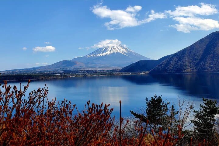 Mount Fuji Five Lakes Private Tour (Customizable) — photo 13