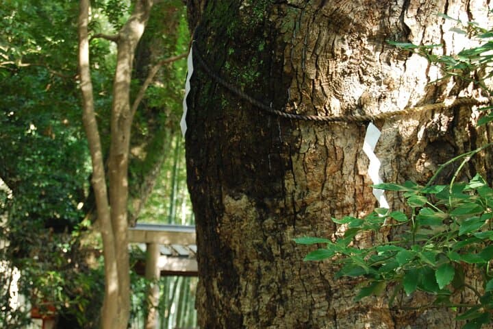 Fukuoka Temples and Culture Walk Sacred Sites in Hakata — photo 6