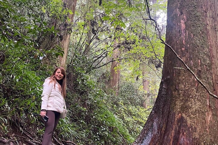 Tokyo’s Mt. Takao Hike — photo 15