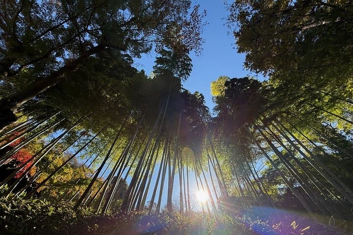 Kamakura Day Trip from Tokyo: Private Guided Walking Tour — photo 18