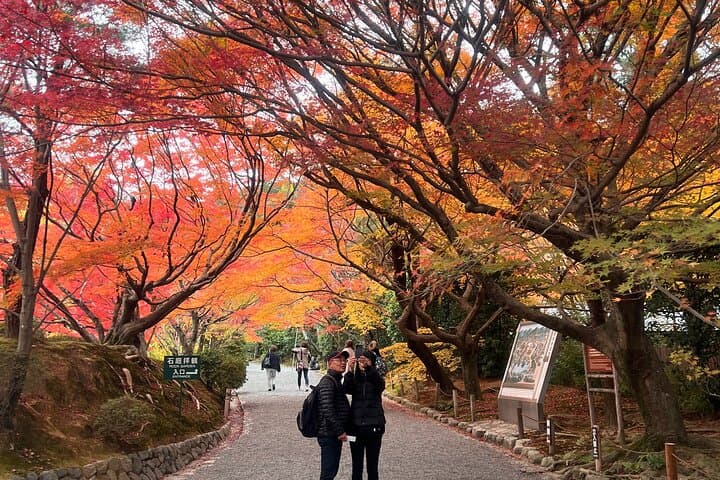 Kyoto Car Share Tour with Official Guide (Max 6 People) — photo 9