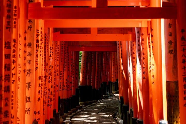Kansai Day Trip Nara Deer, Torii Gates and Arashiyama — photo 6