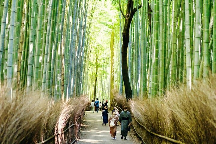 Kansai Day Trip Nara Deer, Torii Gates and Arashiyama — photo 9