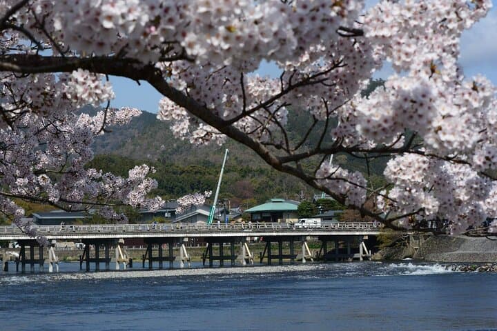 Kansai Day Trip Nara Deer, Torii Gates and Arashiyama — photo 10