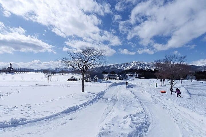 Hachiman Old Town, Snow Park and Hot Spring Day Trip in Nagoya — photo 2