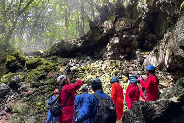 Hiking and Caving in Aokigahara Forest at the Foot of Mt. Fuji — photo 7