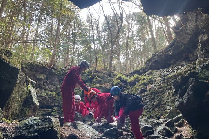 Hiking and Caving in Aokigahara Forest at the Foot of Mt. Fuji — photo 8