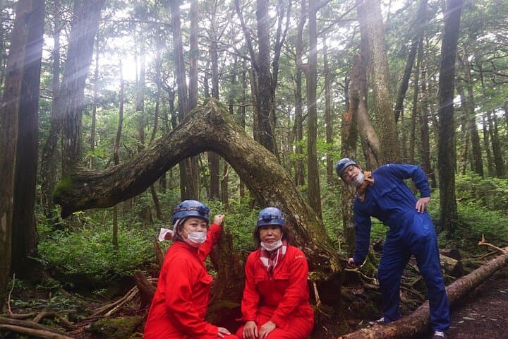 Hiking and Caving in Aokigahara Forest at the Foot of Mt. Fuji — photo 15