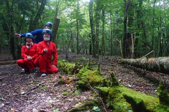 Hiking and Caving in Aokigahara Forest at the Foot of Mt. Fuji — photo 16