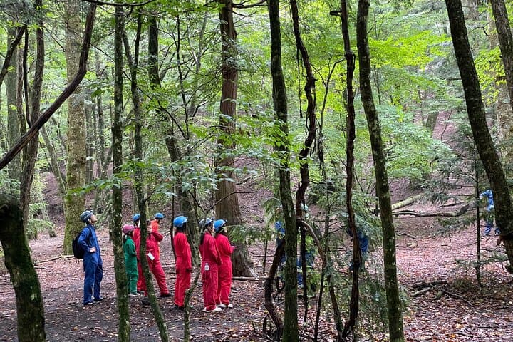 Hiking and Caving in Aokigahara Forest at the Foot of Mt. Fuji — photo 17