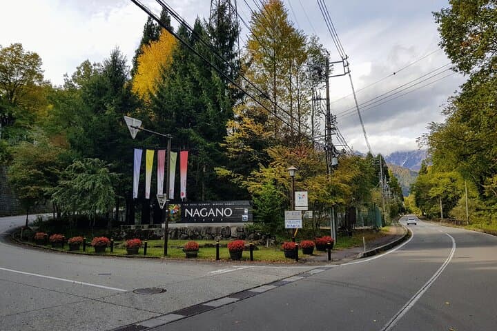 Hakuba To Tokyo Private Luxury Car Transfer — photo 4