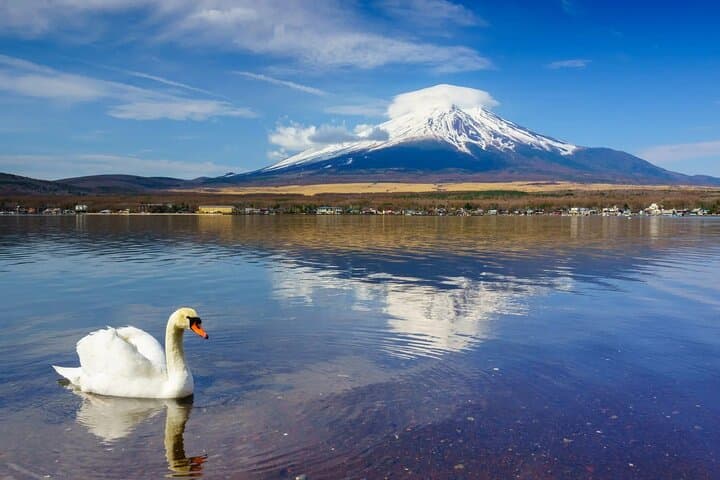 From Tokyo: Mt. Fuji 6 Attractions: Lake Kawaguchi, Oshino Hakkai — photo 13