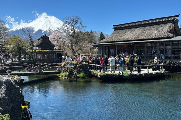 From Tokyo: Mt. Fuji 6 Attractions: Lake Kawaguchi, Oshino Hakkai — photo 14