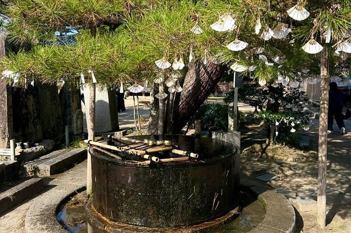 Kyoto Private Car Tour with English Guide Driver (Amanohashidate) — photo 8