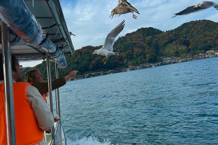 Kyoto Private Car Tour with English Guide Driver (Amanohashidate) — photo 6
