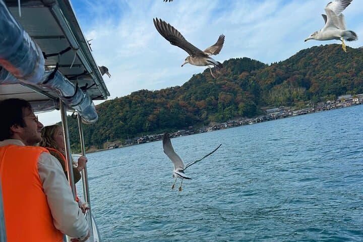 Kyoto Private Car Tour with English Guide Driver (Amanohashidate) — photo 10